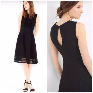 WHBM  MESH INSET FIT AND FLARE DRESS